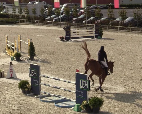 FEI Reitturnier Lier (BEL) 2020