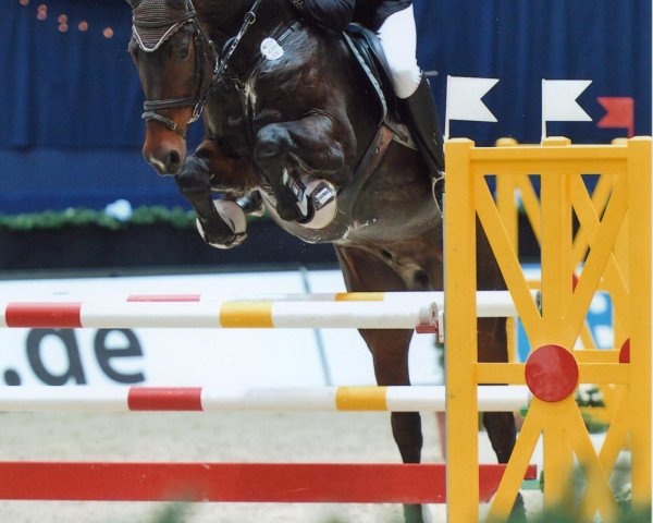 jumper Century Crown (Holsteiner, 2004, from Chello I)