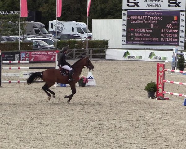FEI Reitturnier Lier (BEL) 2020