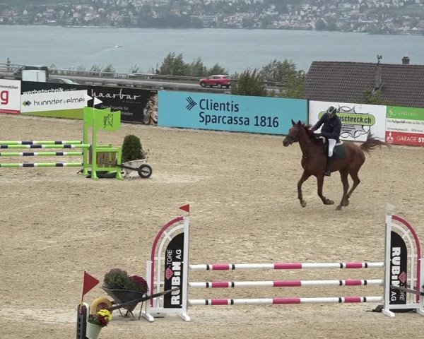 Reitturnier Wädenswil 2020