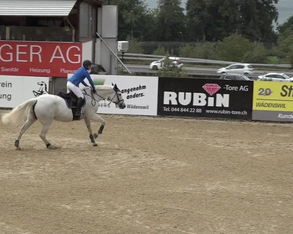 Reitturnier Wädenswil 2020