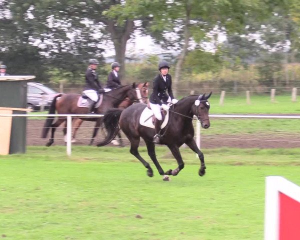 Reitturnier Kellinghusen 2020