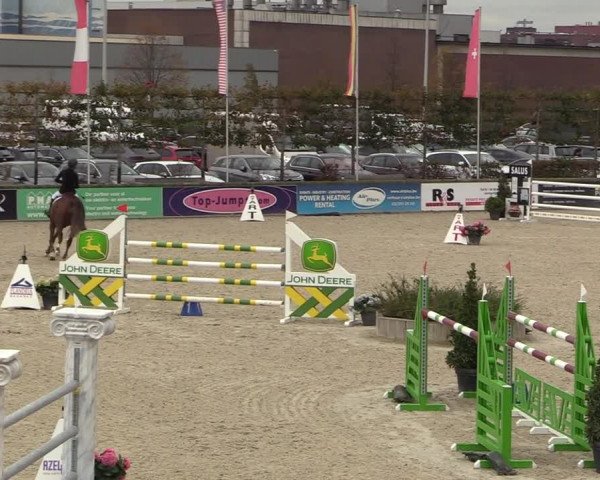 FEI Reitturnier Lier (BEL) 2020