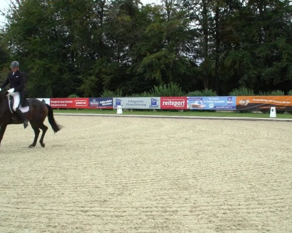 Reitturnier Hof Bettenrode 2020
