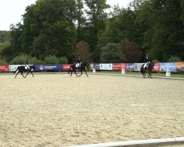 Reitturnier Hof Bettenrode 2020