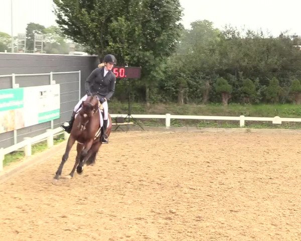 Reitturnier Behrendorf 2020