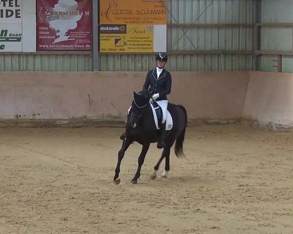 Reitturnier Bad Windsheim/Mfr. 2020