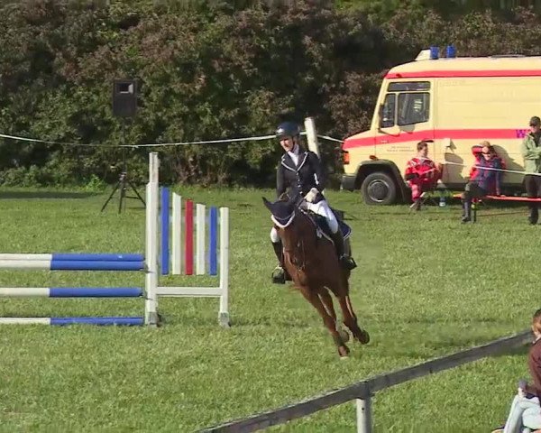 Reitturnier Bad Windsheim/Mfr. 2020