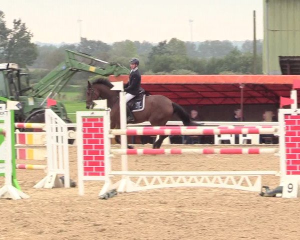 Reitturnier Behrendorf 2020