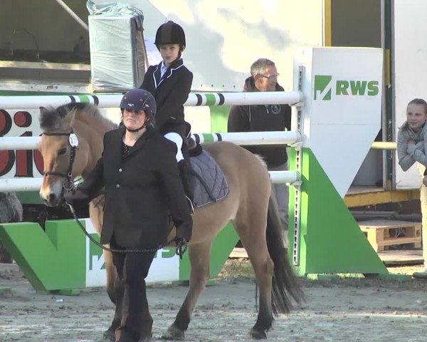 Reitturnier Herxheim 2020