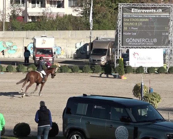 Reitturnier Basel Schänzli 2020