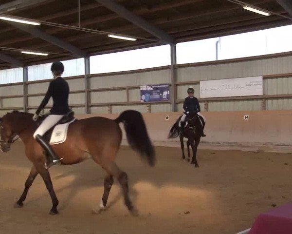 Reitturnier Bad Windsheim/Mfr. 2020