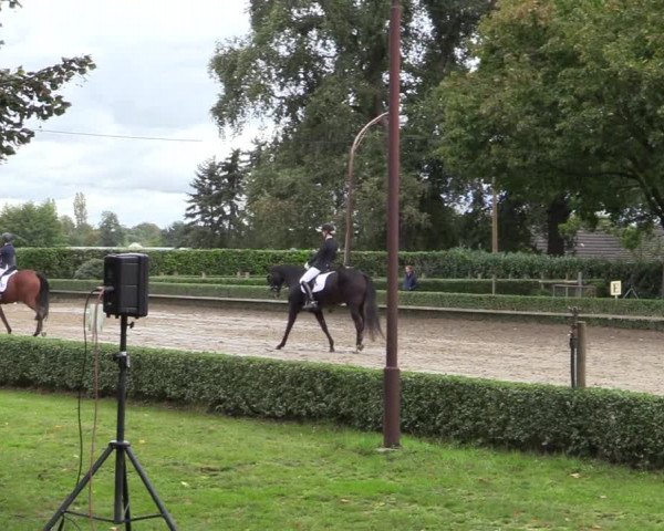 Reitturnier Kirchhellen-RSV Zur Linde 2020