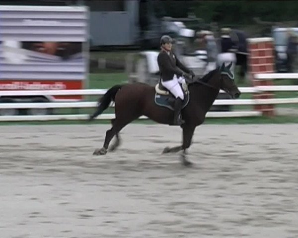 Reitturnier Aesch (Neftenbach) 2020
