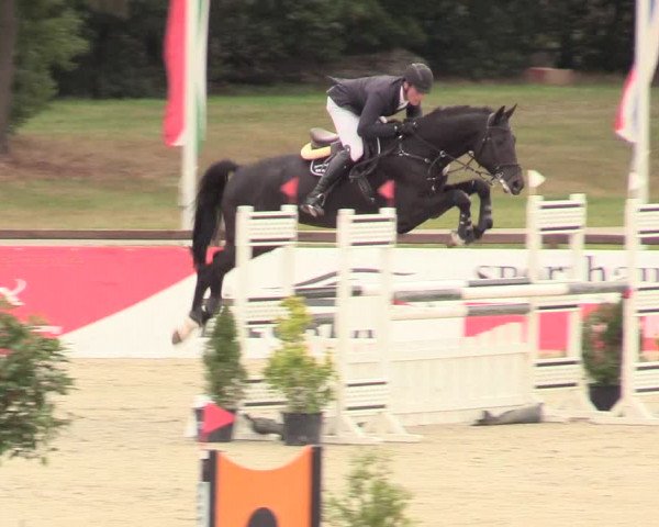 Reitturnier Westergellersen 2020