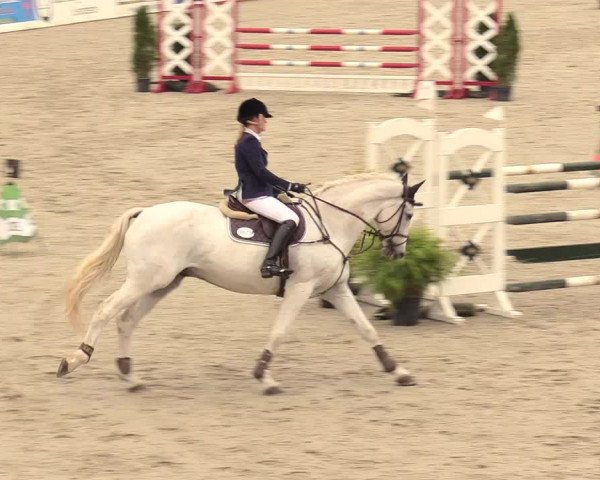 Reitturnier Westergellersen 2020