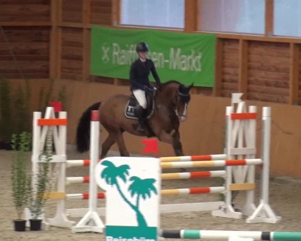 Reitturnier Xanten - Reitanlage Miss 2020