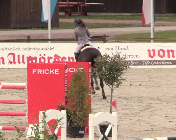 Reitturnier Westergellersen 2020