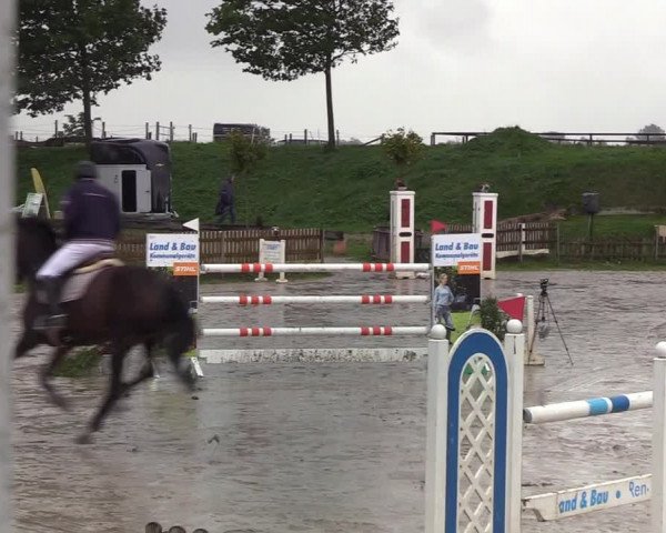 Reitturnier Schülp / Rendsburg 2020