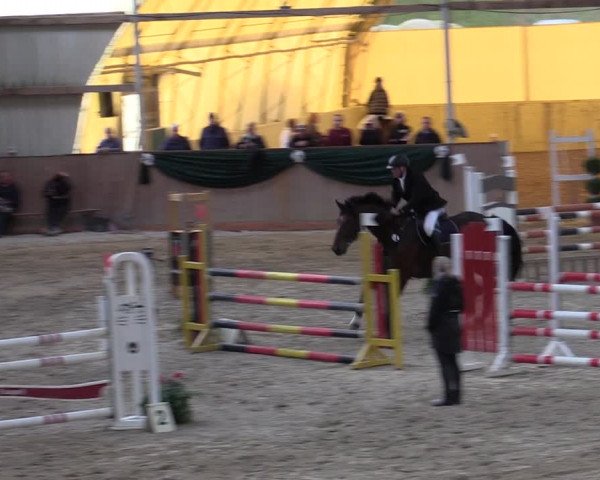 Reitturnier Wollersleben 2020