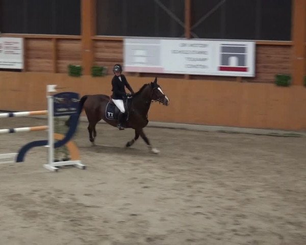 Reitturnier Xanten - Reitanlage Miss 2020