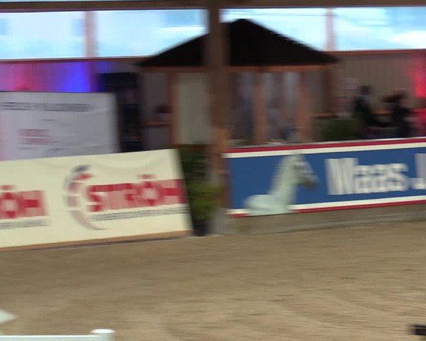 Reitturnier Negernbötel, 1. Nordic Jumping event 2020/2021