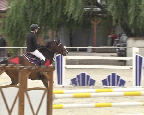 Reitturnier Achern 2020