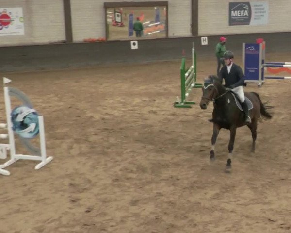 Reitturnier Heilbronn 2020