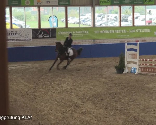 Reitturnier Isterberg 2020
