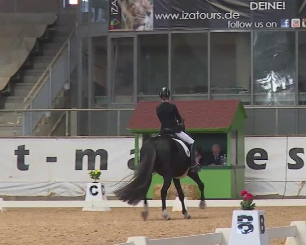 Reitturnier Kreuth 2020