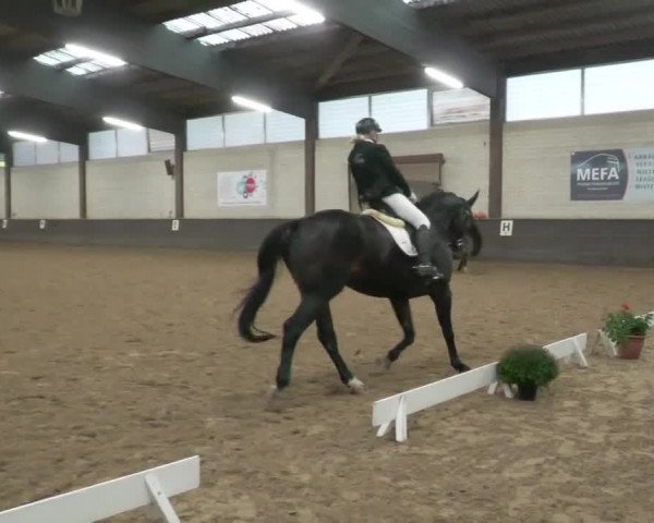 Reitturnier Heilbronn 2020