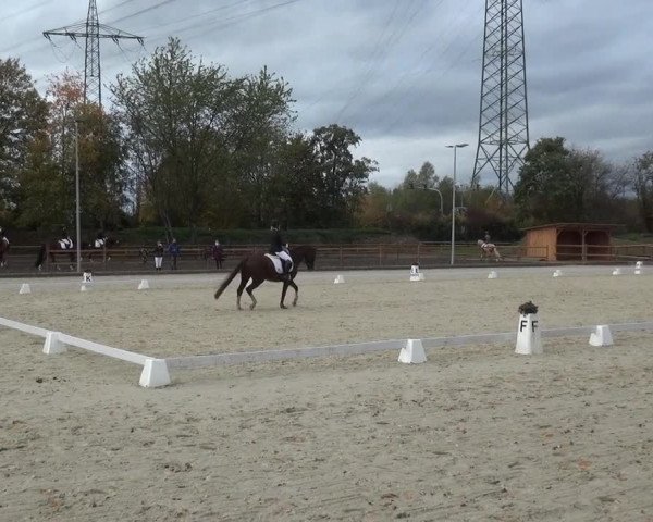 Reitturnier Troisdorf - Haus Rott 2020