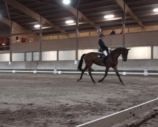 Reitturnier Urtenen-Schönbühl 2020