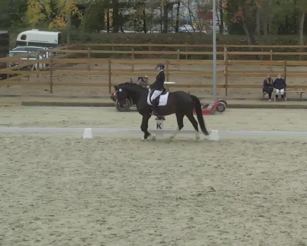 Reitturnier Troisdorf - Haus Rott 2020