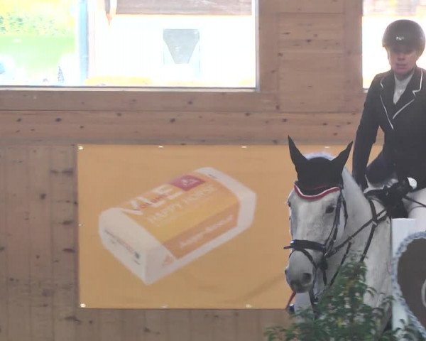 Reitturnier Gut Winkelacker/Obb. 2020