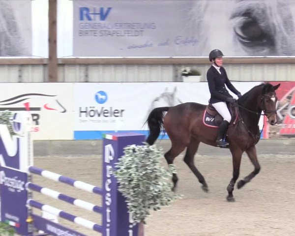 Reitturnier Negernbötel 2020, 2. Nordic Jumping event 2020/2021