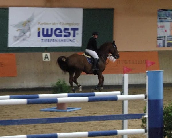 Reitturnier Gut Winkelacker/Obb. 2020