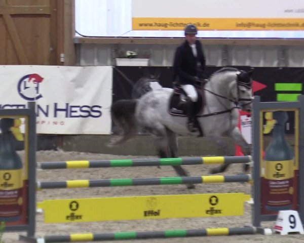 Reitturnier Negernbötel 2020, 3. Nordic Jumping event 2020/2021