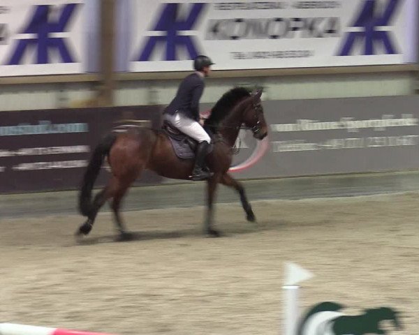 Reitturnier Negernbötel 2020, 6. Nordic Jumping event 2020/2021