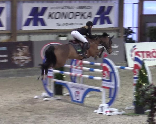 Reitturnier Negernbötel 2020, 6. Nordic Jumping event 2020/2021