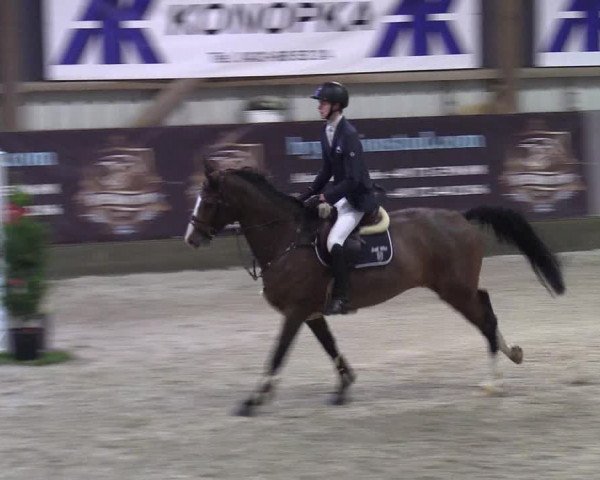 Reitturnier Negernbötel 2020, 7. Nordic Jumping event 2020/2021