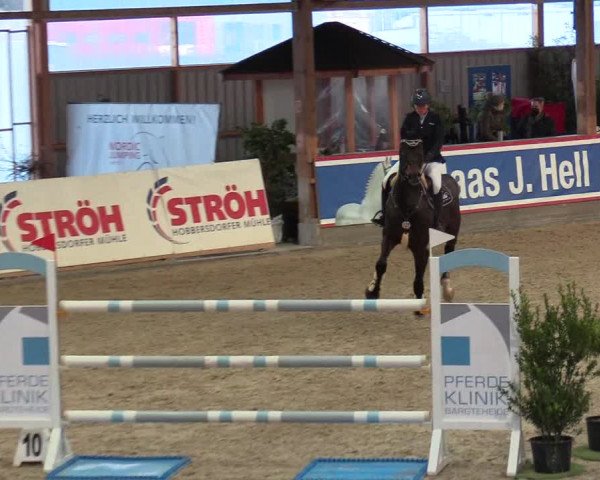 Reitturnier Negernbötel 2021, 8. Nordic Jumping event 2020/2021
