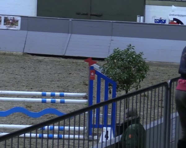 Reitturnier Luhmühlen 2021