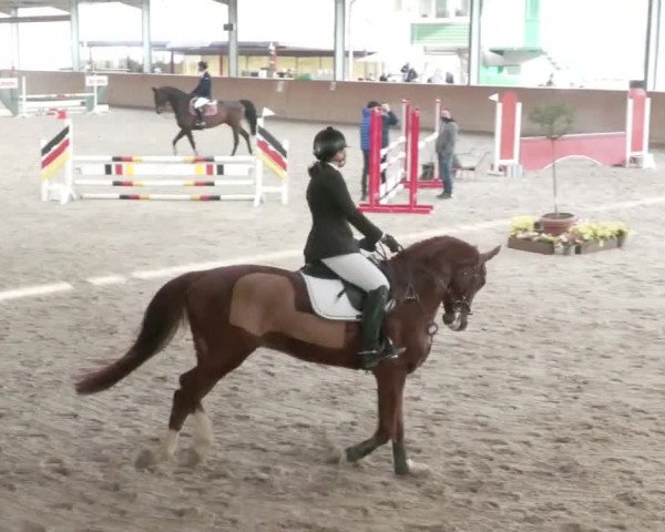 Reitturnier Lahr-Langenwinkel 2021