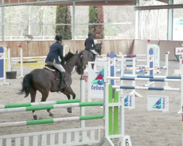 Reitturnier Lahr-Langenwinkel 2021