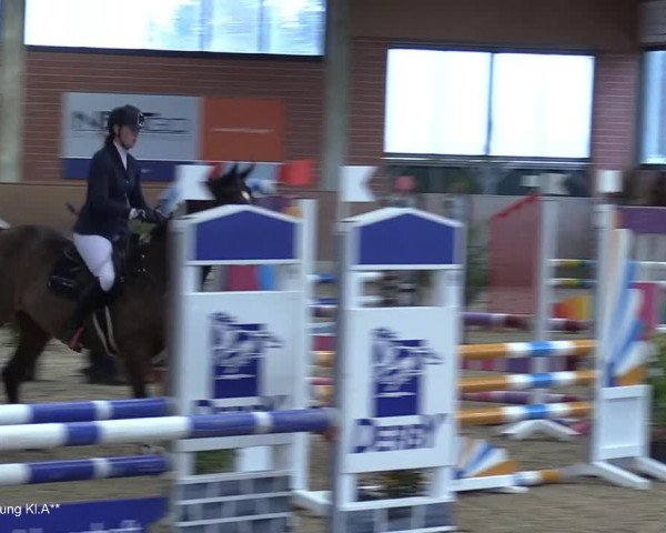 Reitturnier Heiden 2021