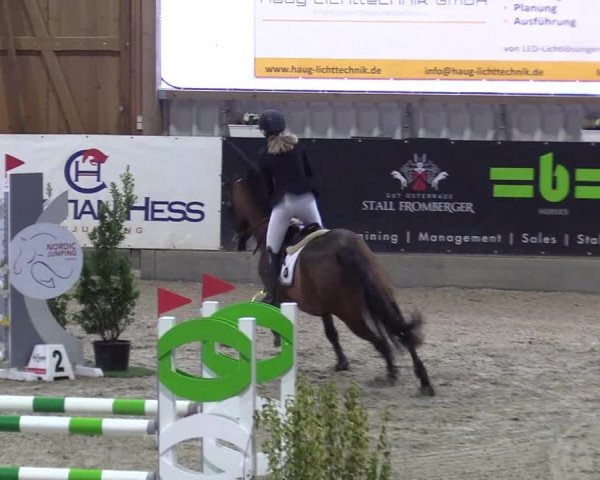 Reitturnier Negernbötel 2021, 10. Nordic Jumping event 2020/2021