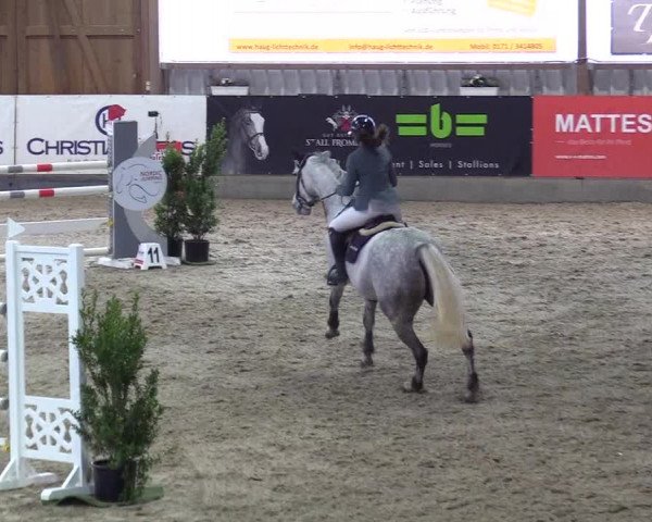 Reitturnier Negernbötel 2021, 10. Nordic Jumping event 2020/2021