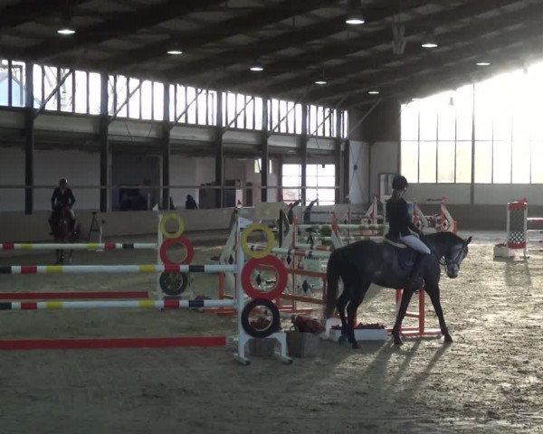 Reitturnier Langenfeld - Gut Langfort 2021