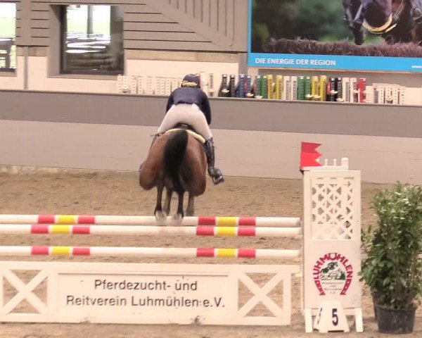 Reitturnier Luhmühlen 2021